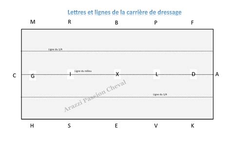 POINT ÉQUESTRE EN 8 LETTRES